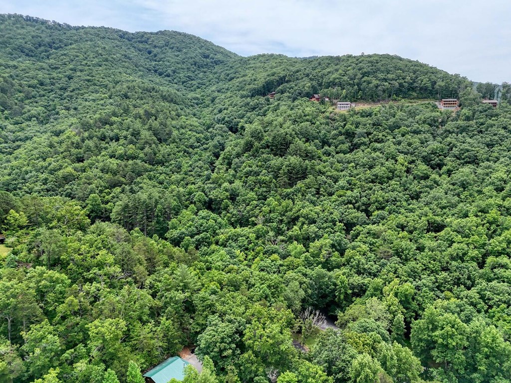 14 Priscilla Lane Murphy, NC 28906 - Photo 40 of 42 a view of a green field with lots of bushes