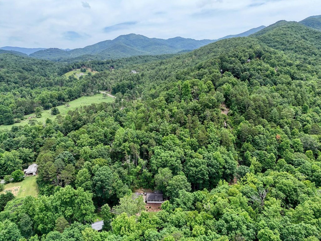 14 Priscilla Lane Murphy, NC 28906 - Photo 41 of 42 a view of a lush green field with lots of bushes