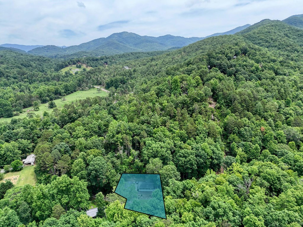 14 Priscilla Lane Murphy, NC 28906 - Photo 42 of 42 a view of a lush green hillside and a building