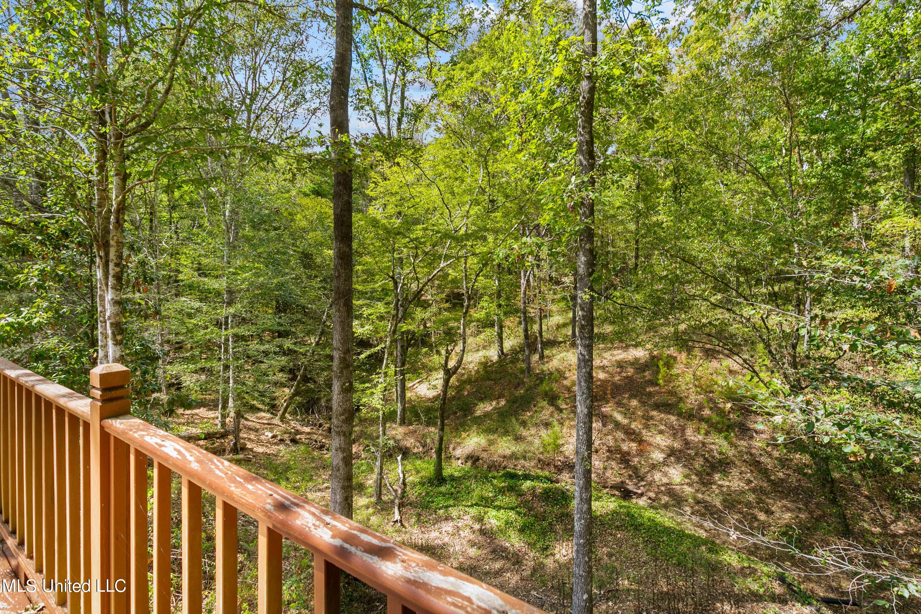 3159 Alford Road Crystal Springs, MS 39059 - Photo 51 of 85 3159 Alford Rd-53