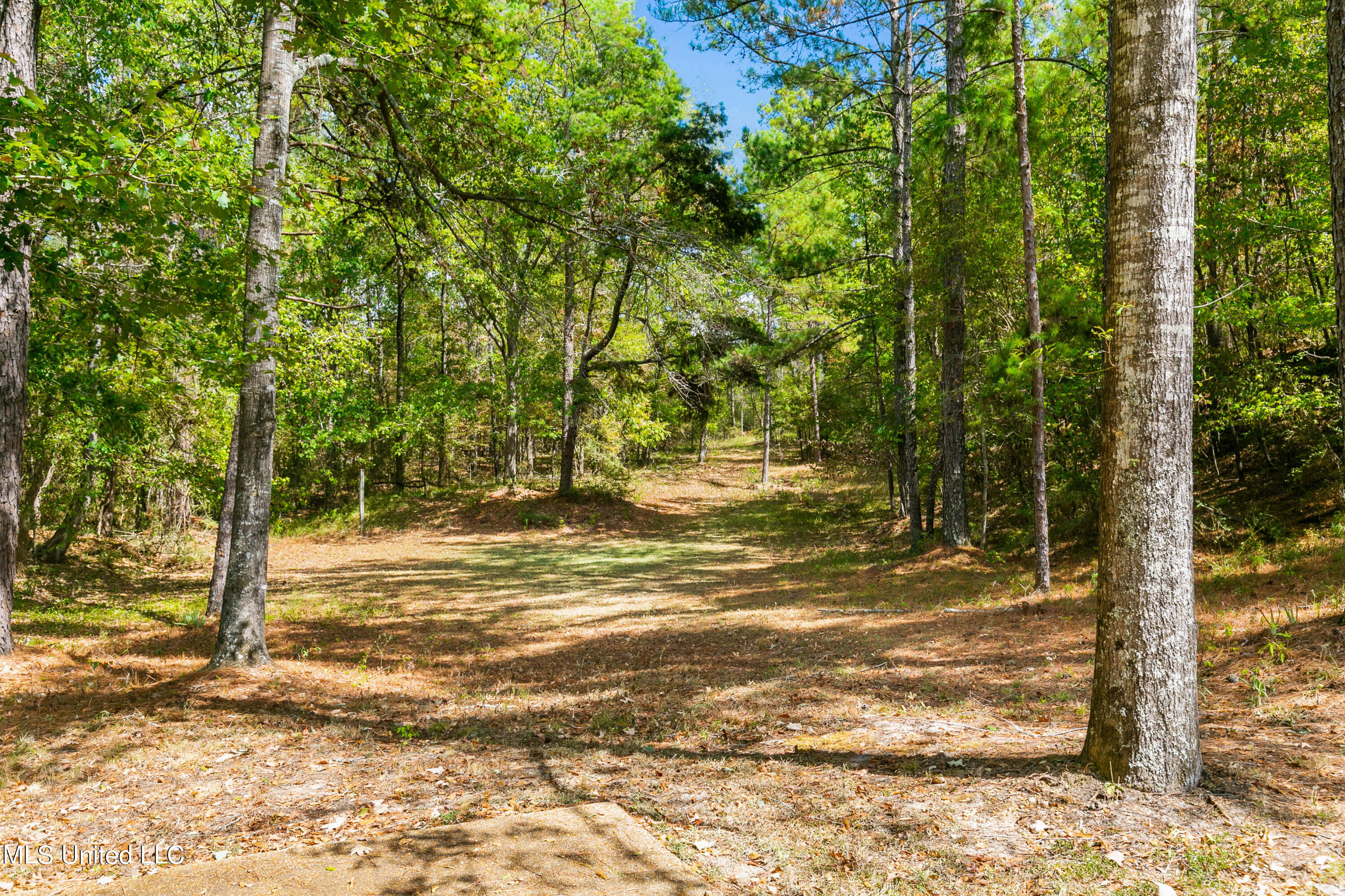 3159 Alford Road Crystal Springs, MS 39059 - Photo 53 of 85 3159 Alford Rd-55