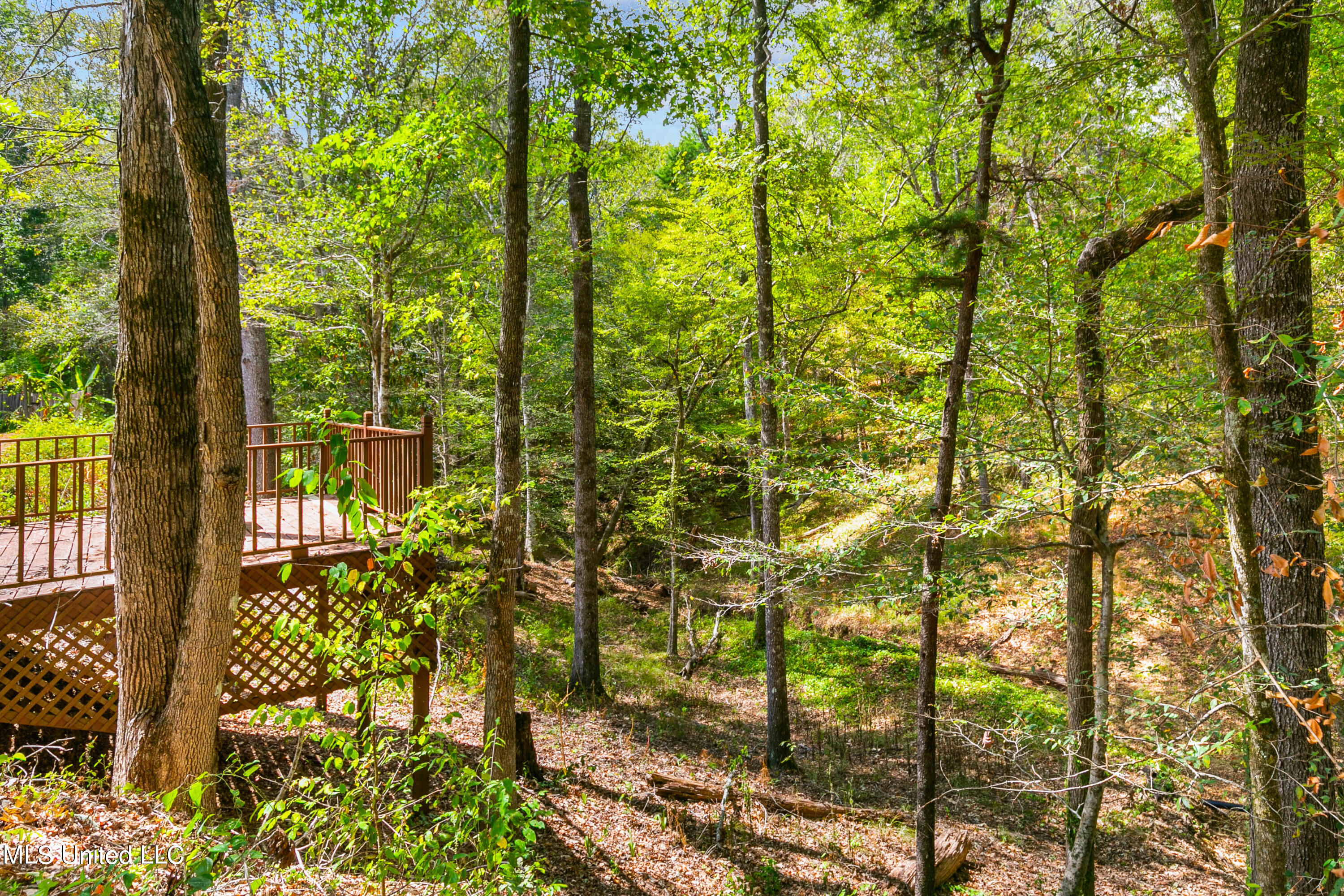3159 Alford Road Crystal Springs, MS 39059 - Photo 54 of 85 3159 Alford Rd-56