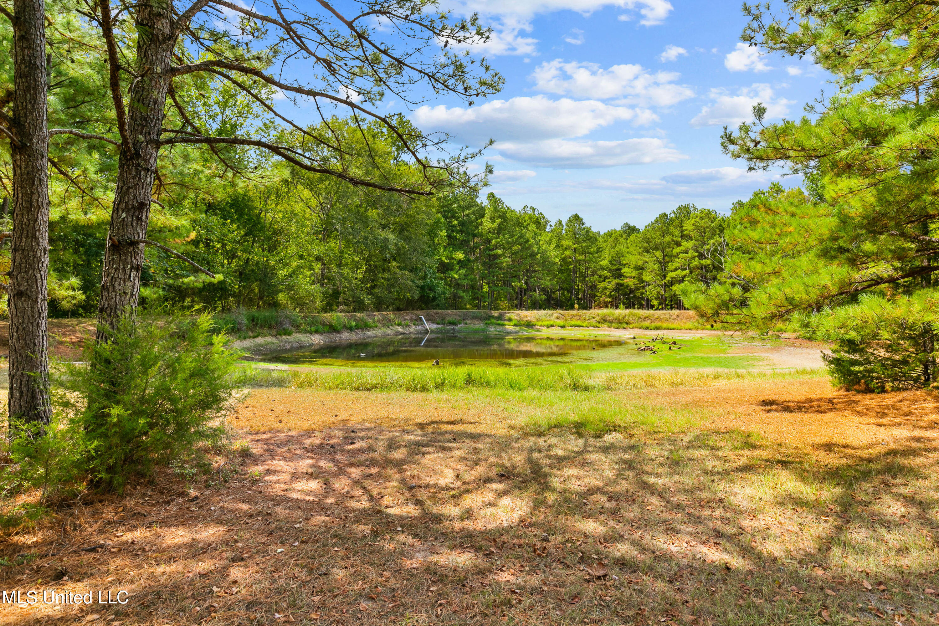 3159 Alford Road Crystal Springs, MS 39059 - Photo 55 of 85 3159 Alford Rd-57