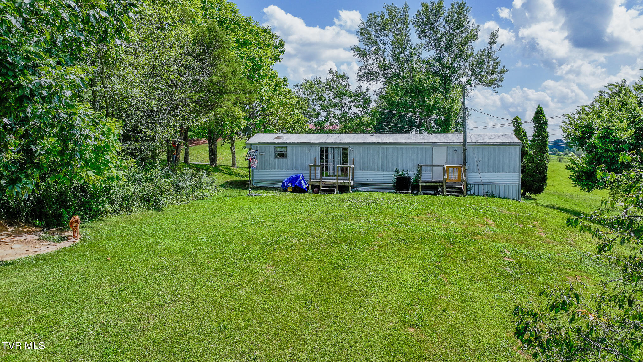 7680 Warrensburg Road Mosheim, TN 37818 - Photo 15 of 20 dji_fly_20250711_155900_0774_17522642653