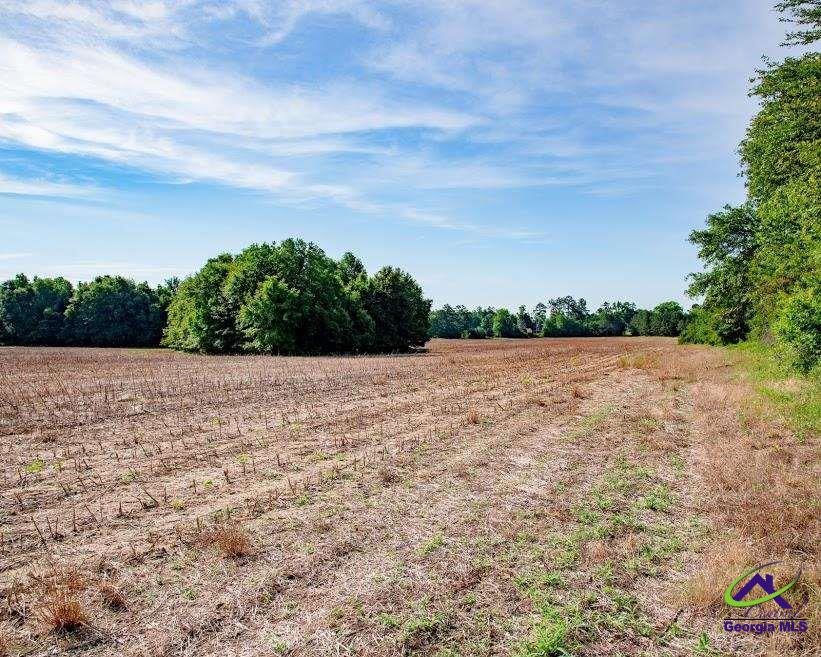227 Wilson Road Bonaire, GA 31005 - Photo 6 of 6