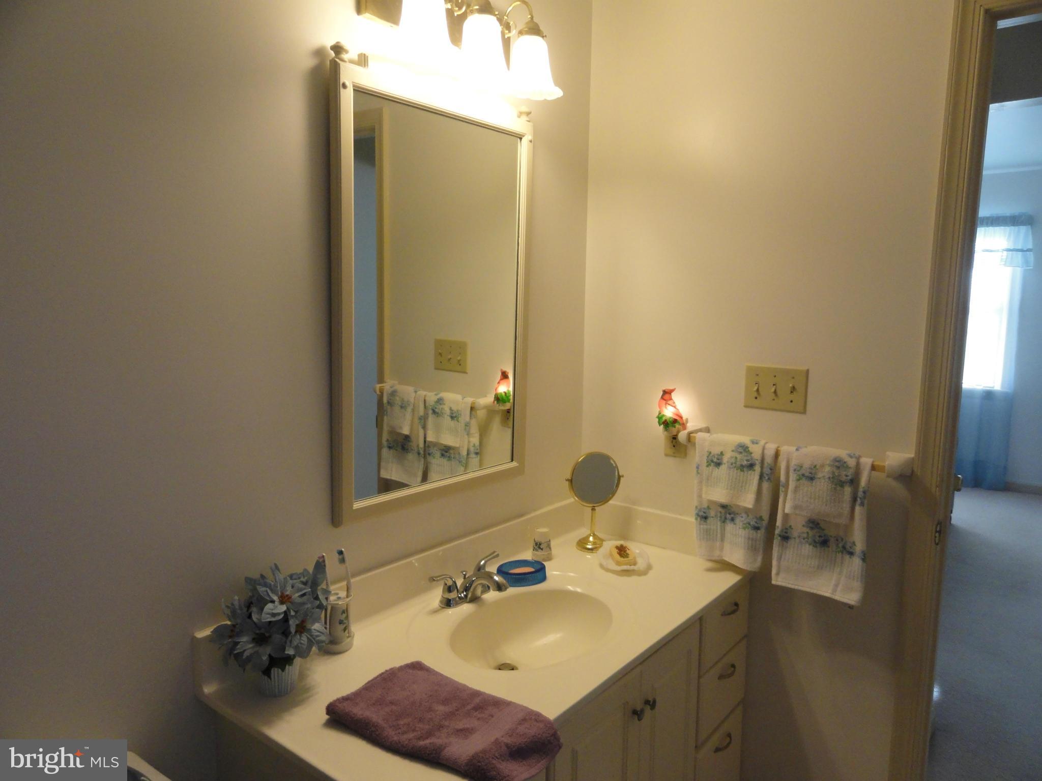 14144 Fairview Road Clear Spring, MD 21722 - Photo 17 of 21 Bath (Master)