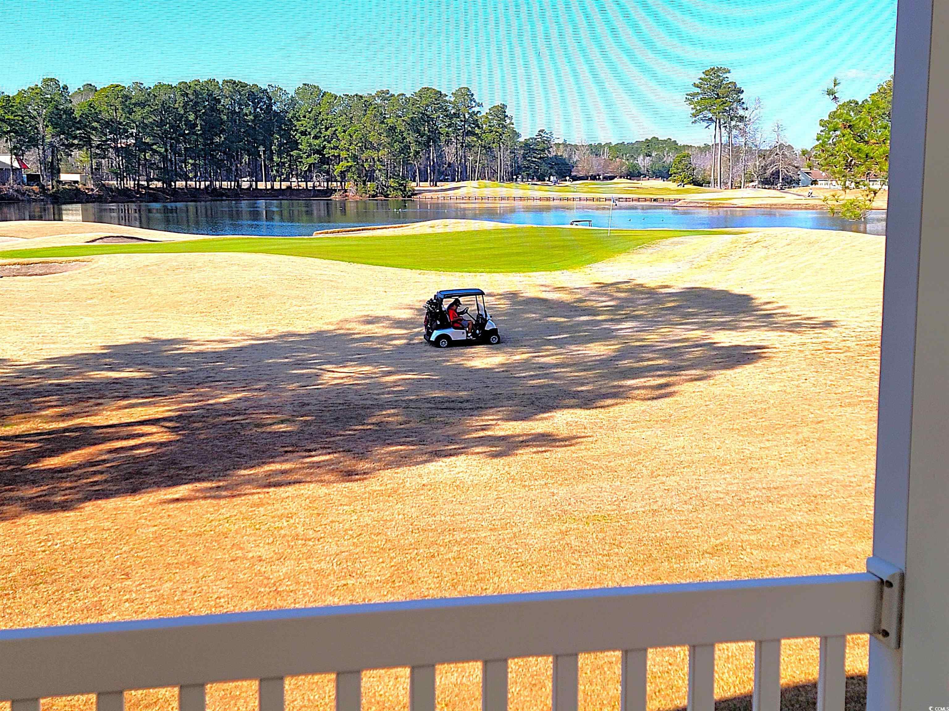 657 Tupelo Lane, Unit 15F Longs, SC 29568 - Photo 23 of 40