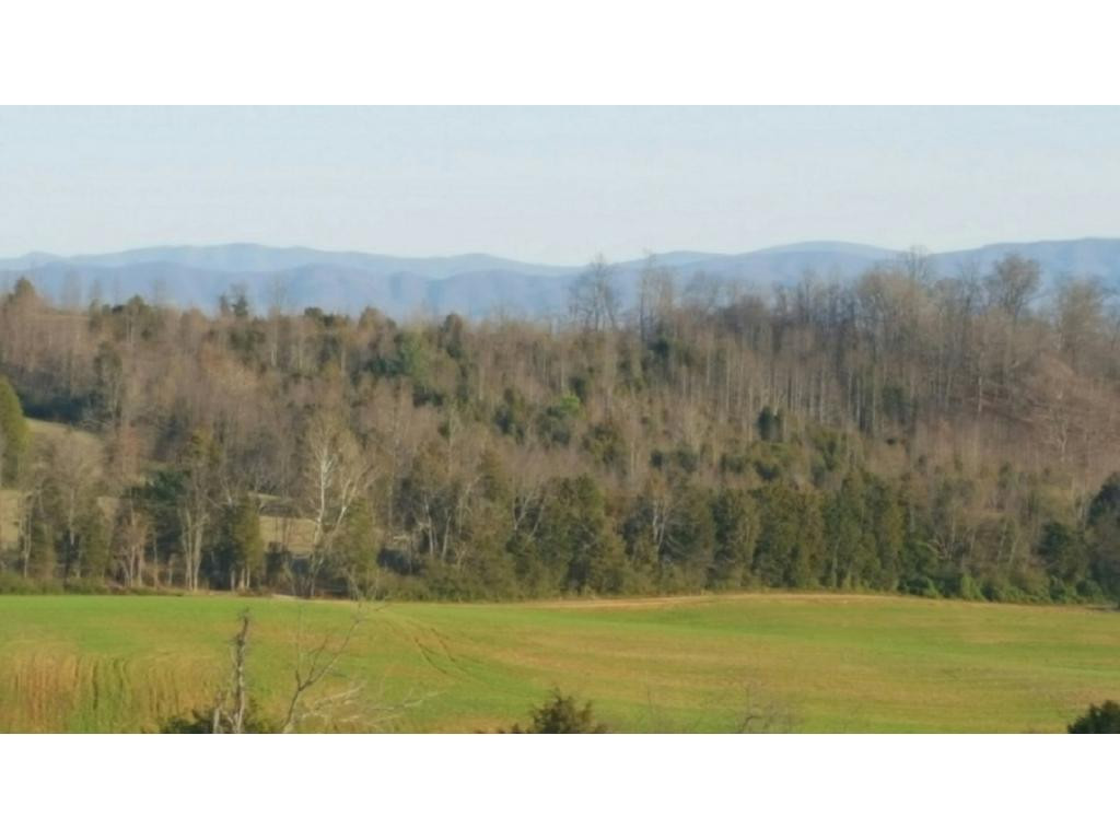 0 Martin Road, Unit 1 Limestone, TN 37681 - Photo 2 of 3 Photo 2