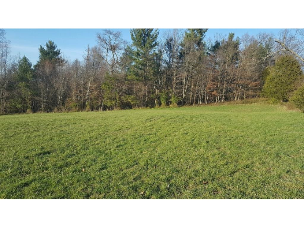 0 Martin Road, Unit 1 Limestone, TN 37681 - Photo 3 of 3 Photo 3