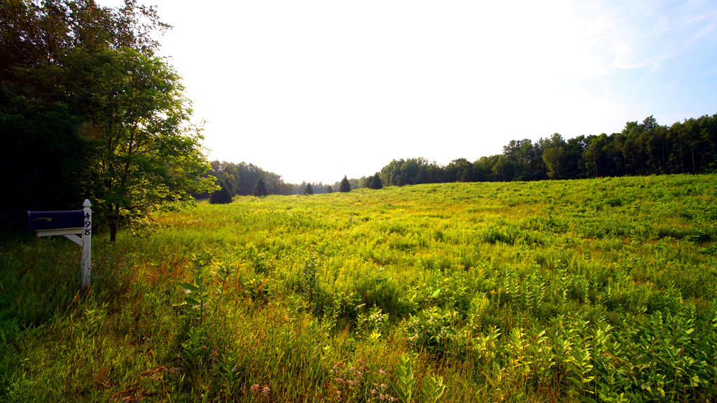 Lot 9-1 New Limerick Road Houlton, ME 04730 - Photo 35 of 40 leisner-maine-land-24