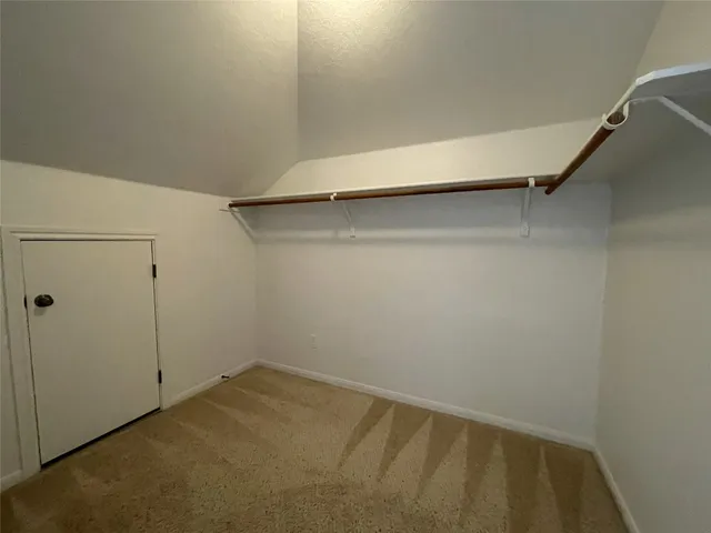 a view of a yard with plants and trees