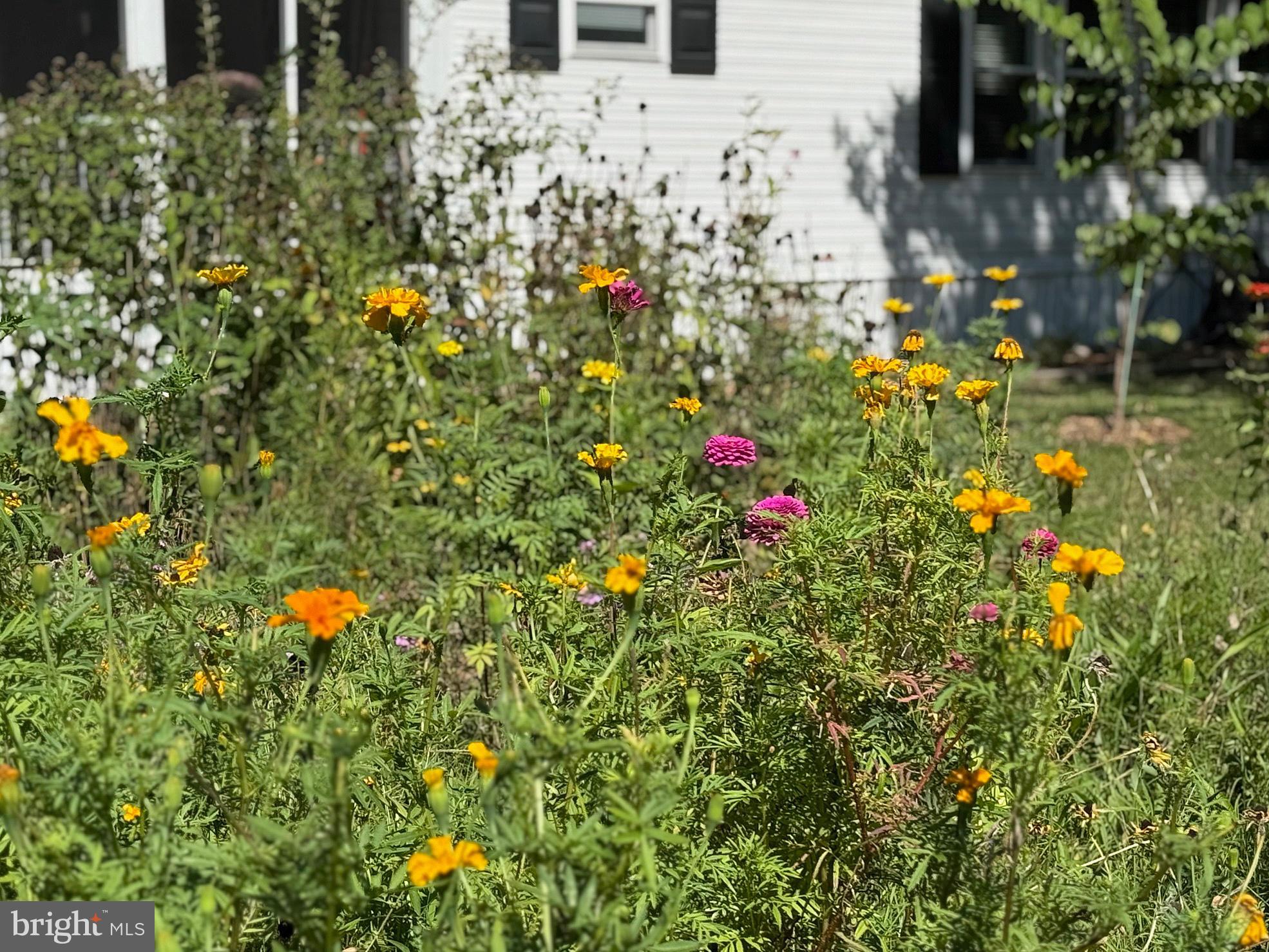 33280 Sassafras Court Ocean View, DE 19970 - Photo 40 of 45