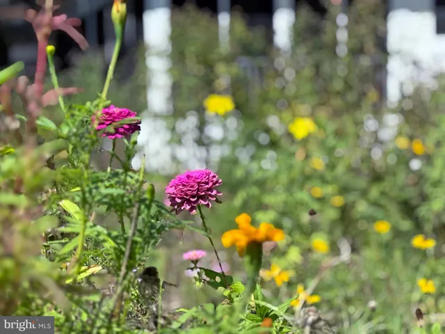 $380,000 | 33280 Sassafras Court, Ocean View, DE 19970