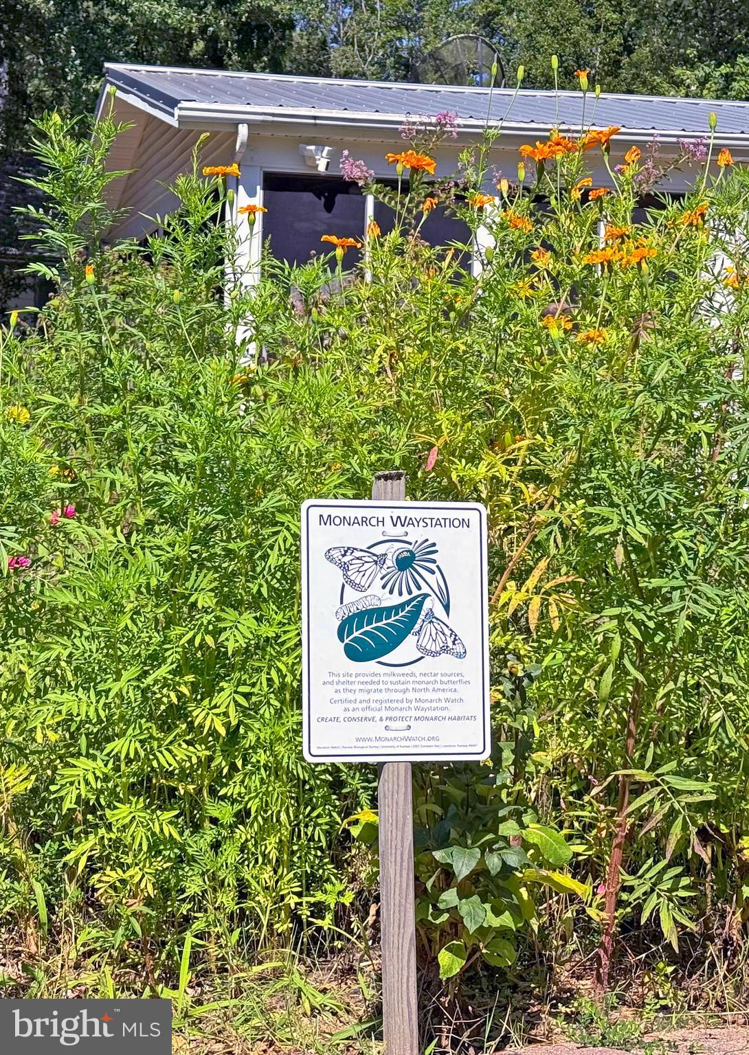 33280 Sassafras Court Ocean View, DE 19970 - Photo 43 of 45