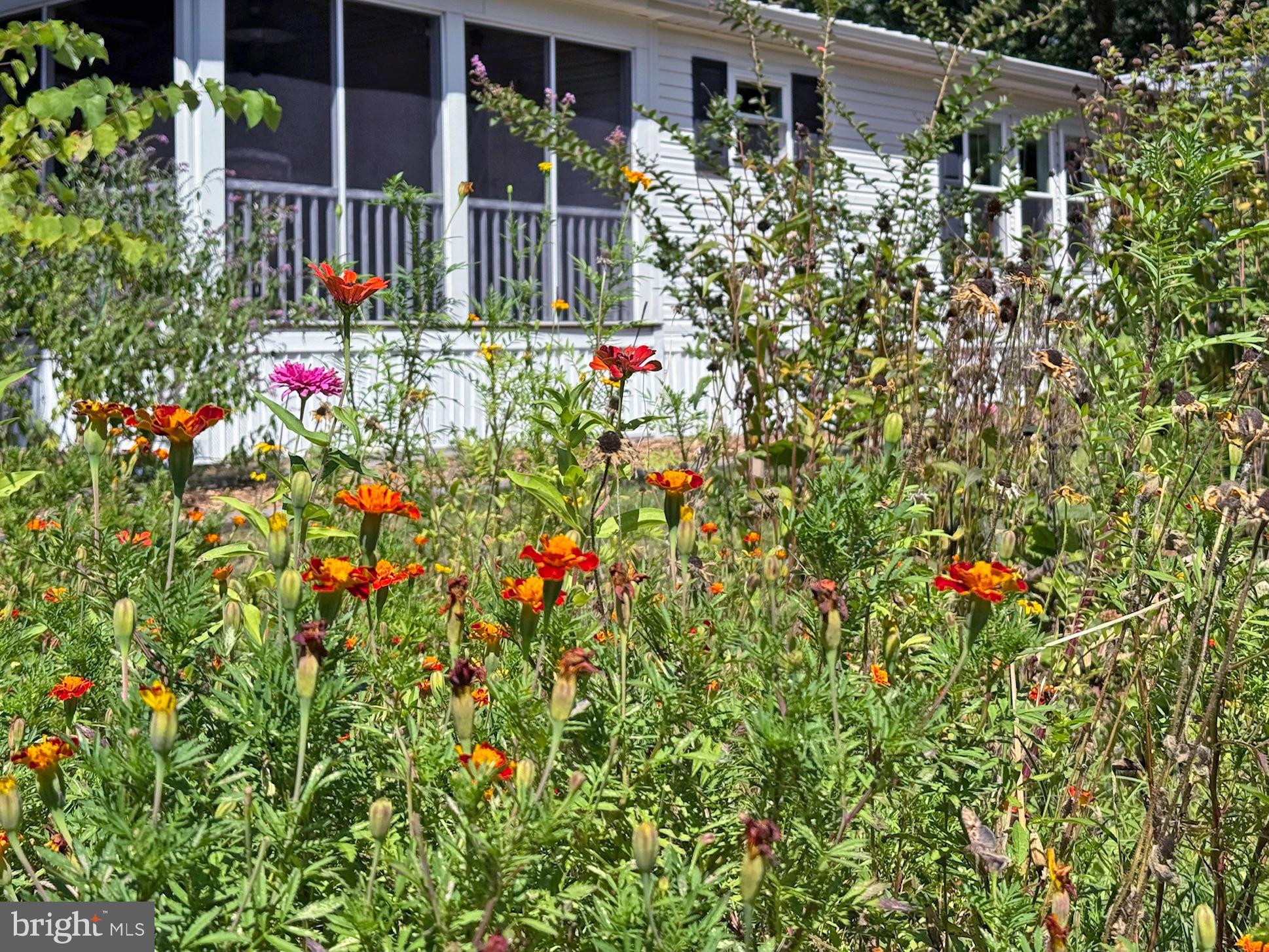 33280 Sassafras Court Ocean View, DE 19970 - Photo 44 of 45 a flower plants in front of a house