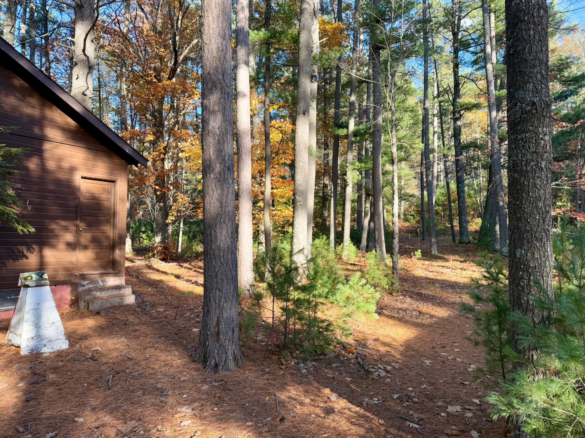 7923 Jansen Road Minocqua, WI 54548 - Photo 10 of 35 Gallery Image 10
