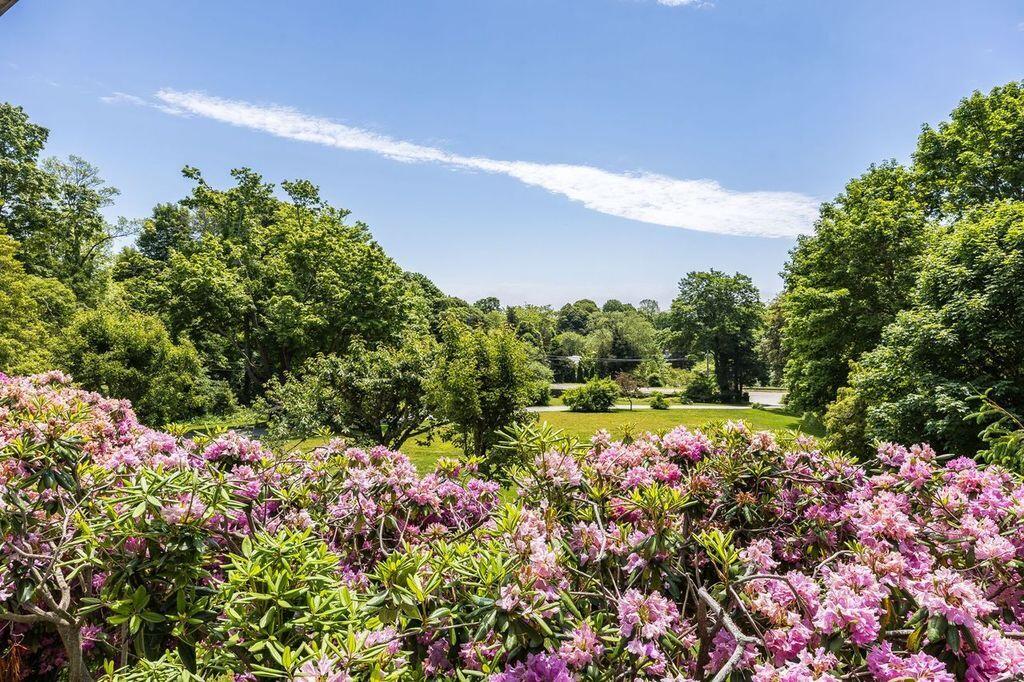 165 Woods Hole Road Falmouth, MA 02540 - Photo 23 of 35 a view of a flower in a garden