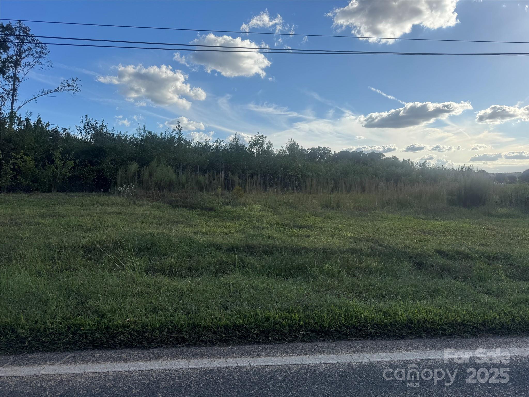 0 Alonzo Road Oakboro, NC 28129 - Photo 6 of 8 a view of a big yard