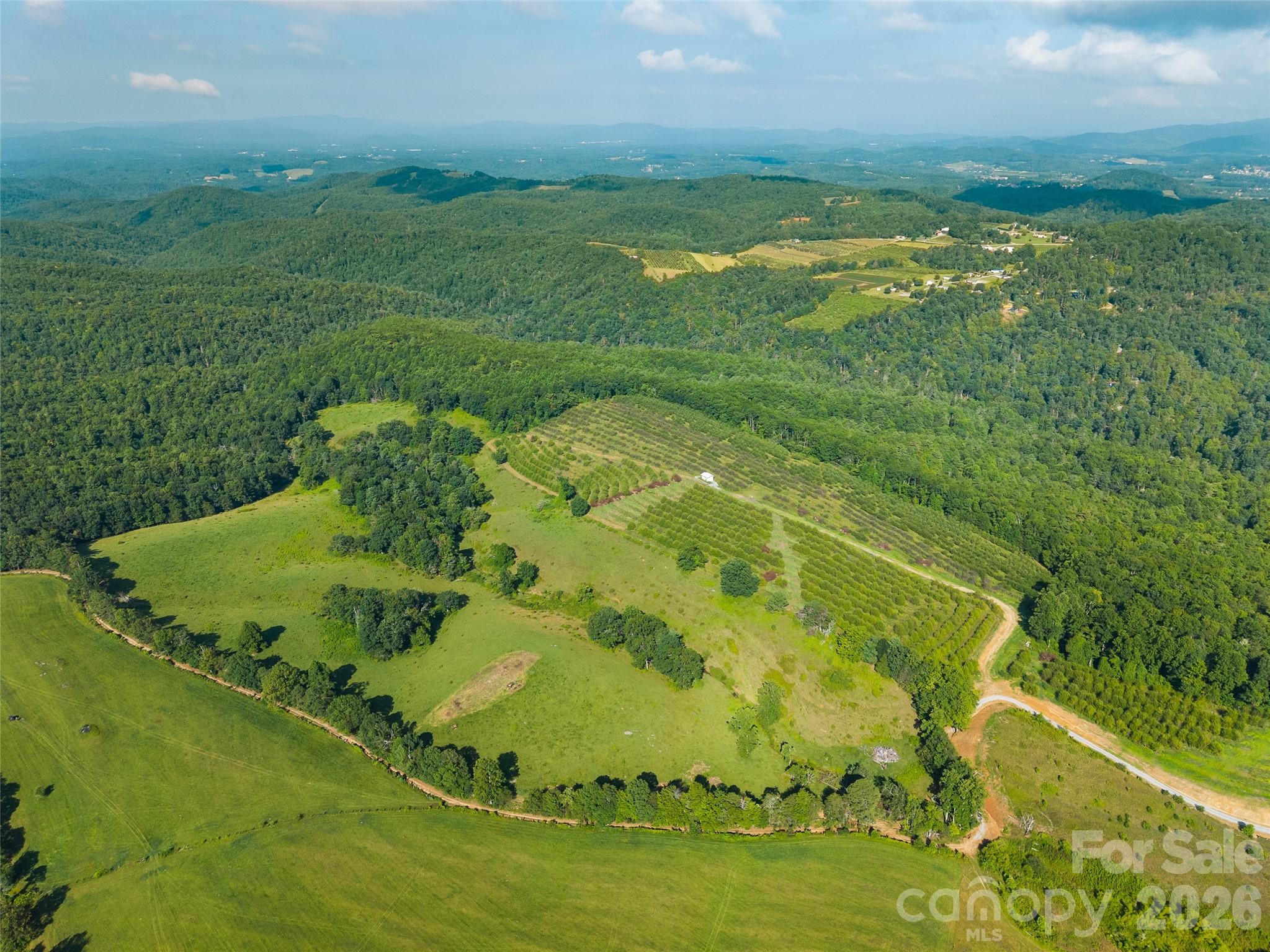 0 Summer Road, Unit 3 Hendersonville, NC 28792 - Photo 13 of 20