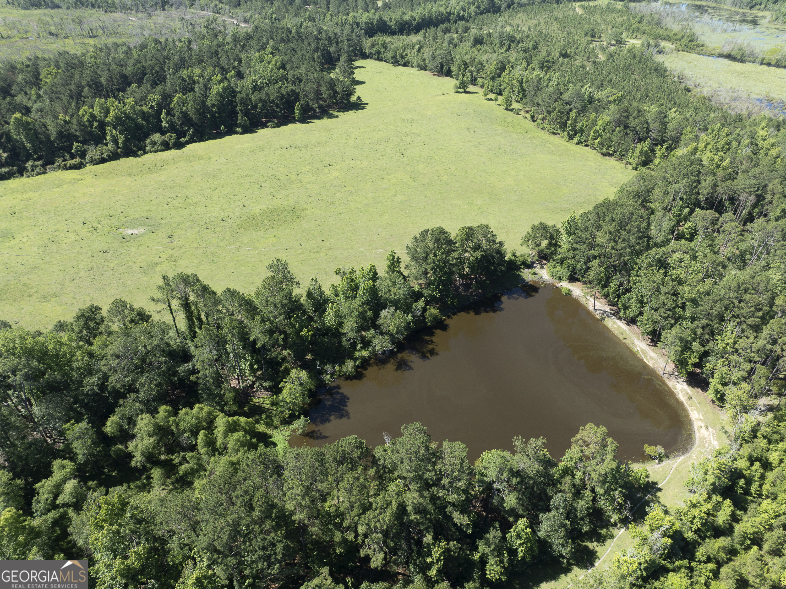 3349 A Scotland Road Alamo, GA 30411 - Photo 9 of 29