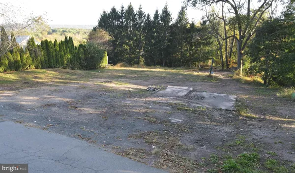 a view of outdoor space with trees