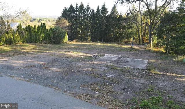 a view of outdoor space with trees