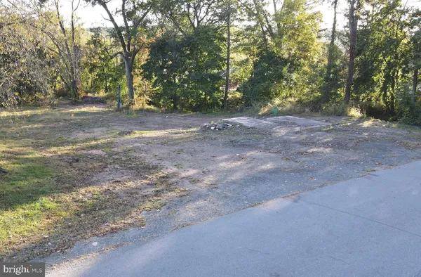 a view of dirt yard with a large tree