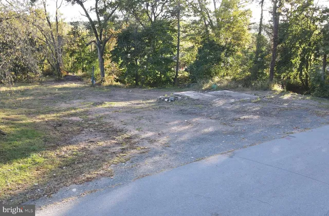 a view of dirt yard with a large tree