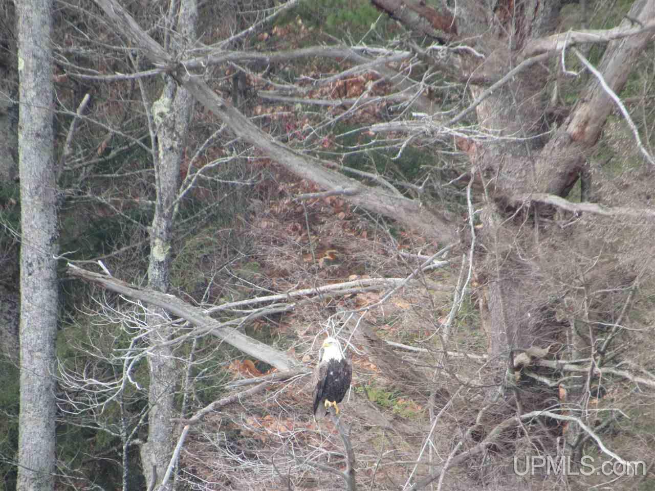 E9611 North Town Line Lake Road Wetmore, MI 49895 - Photo 65 of 77