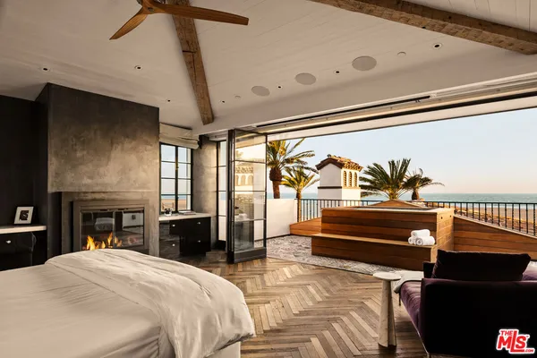 a view of a patio with couches and a potted plant on a table