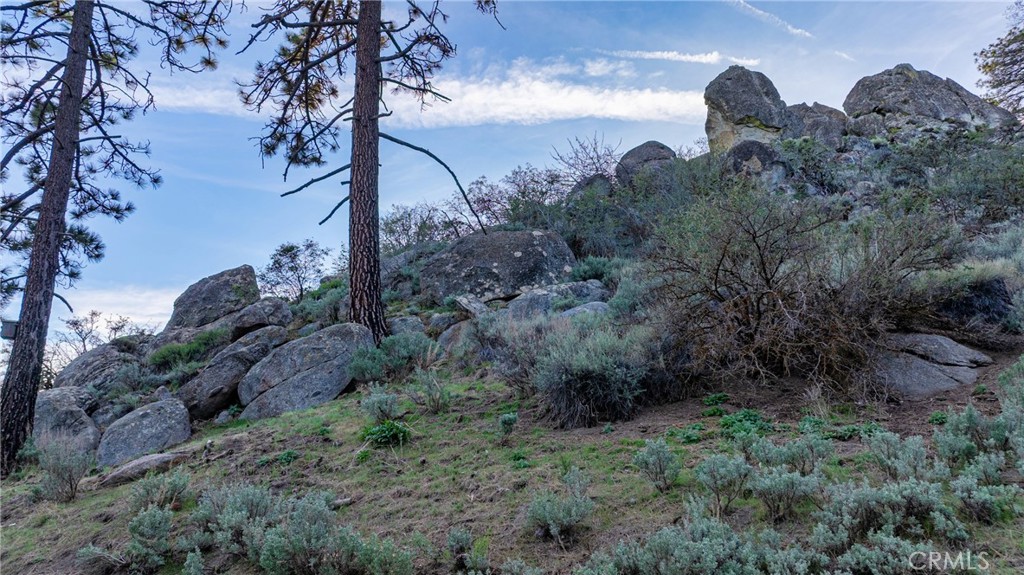 26820 Stirrup Way Tehachapi, CA 93561 - Photo 46 of 47