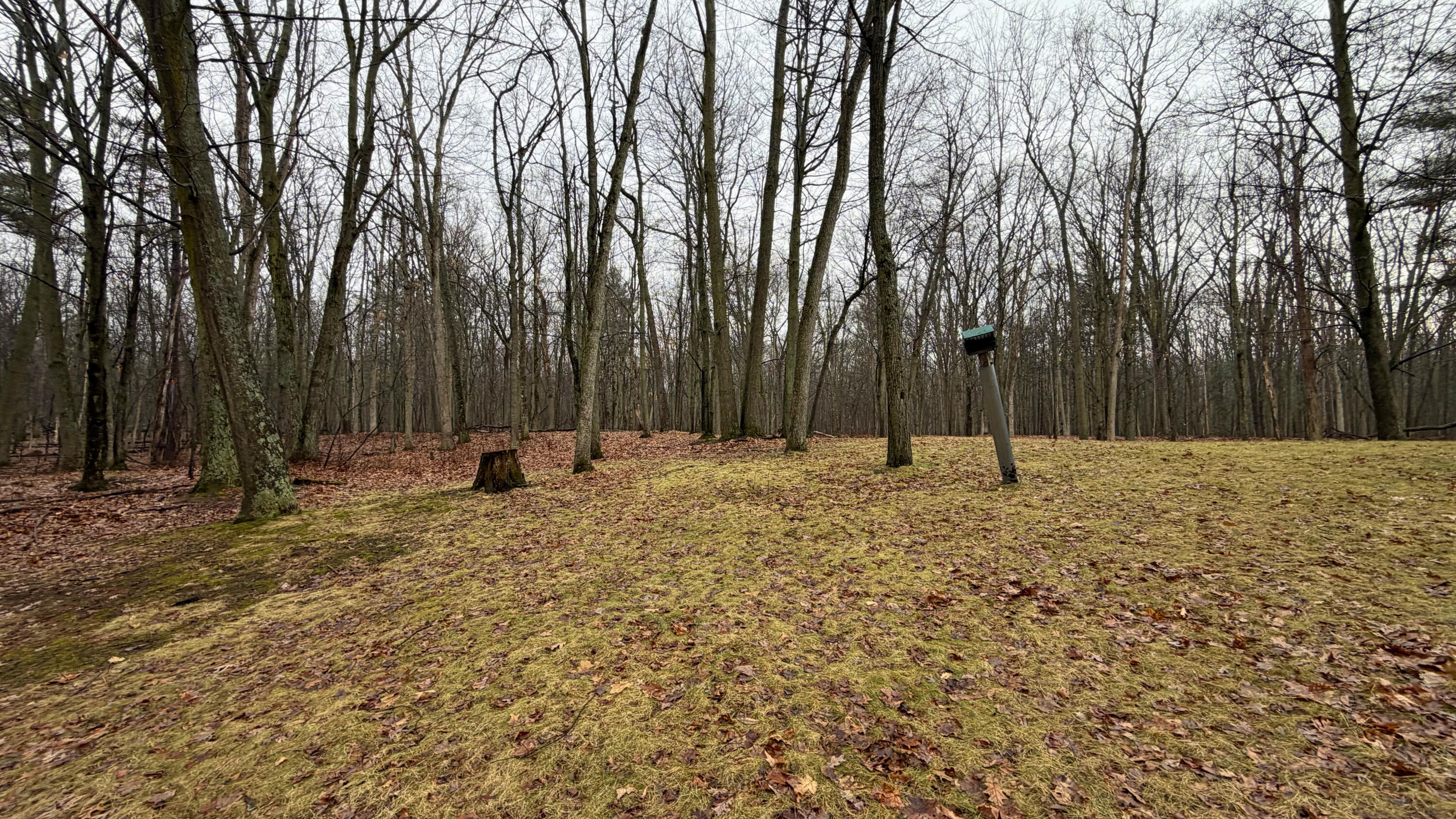 7585 Tree Top Lane Pigeon, MI 48755 - Photo 102 of 105 yard 8