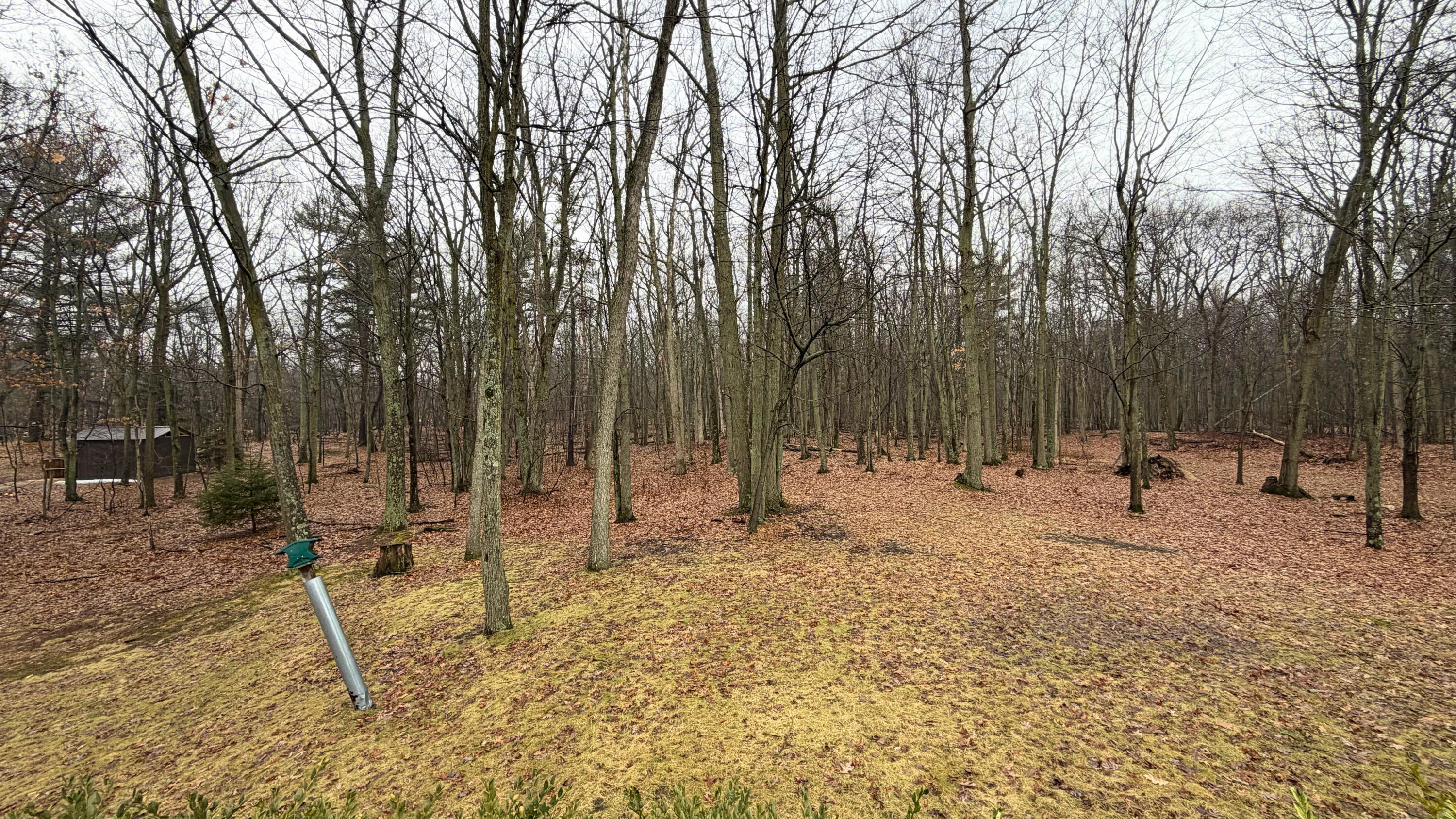 7585 Tree Top Lane Pigeon, MI 48755 - Photo 104 of 105 yard 6