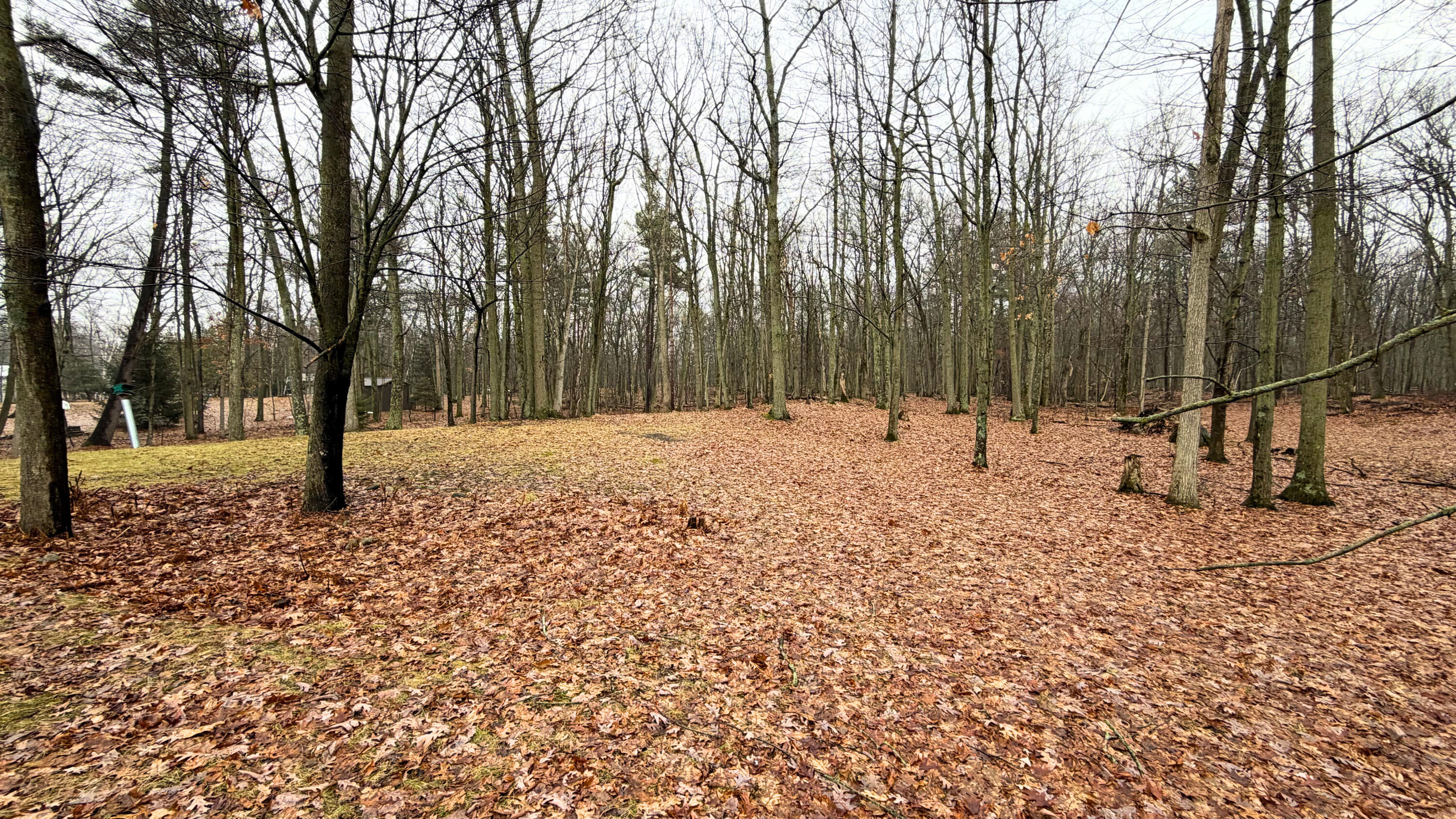 7585 Tree Top Lane Pigeon, MI 48755 - Photo 105 of 105 yard 7