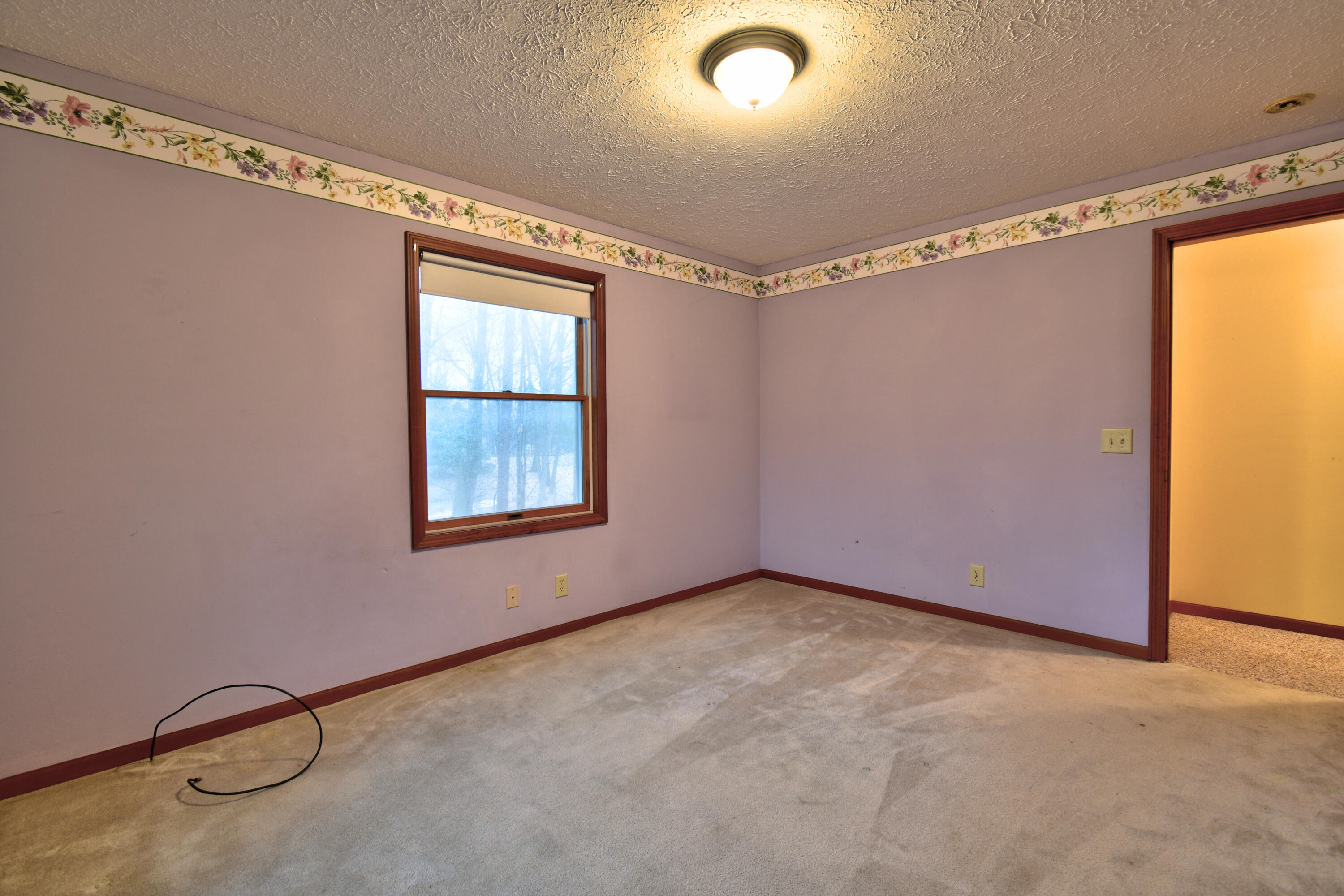 7585 Tree Top Lane Pigeon, MI 48755 - Photo 57 of 105 bed 3 5