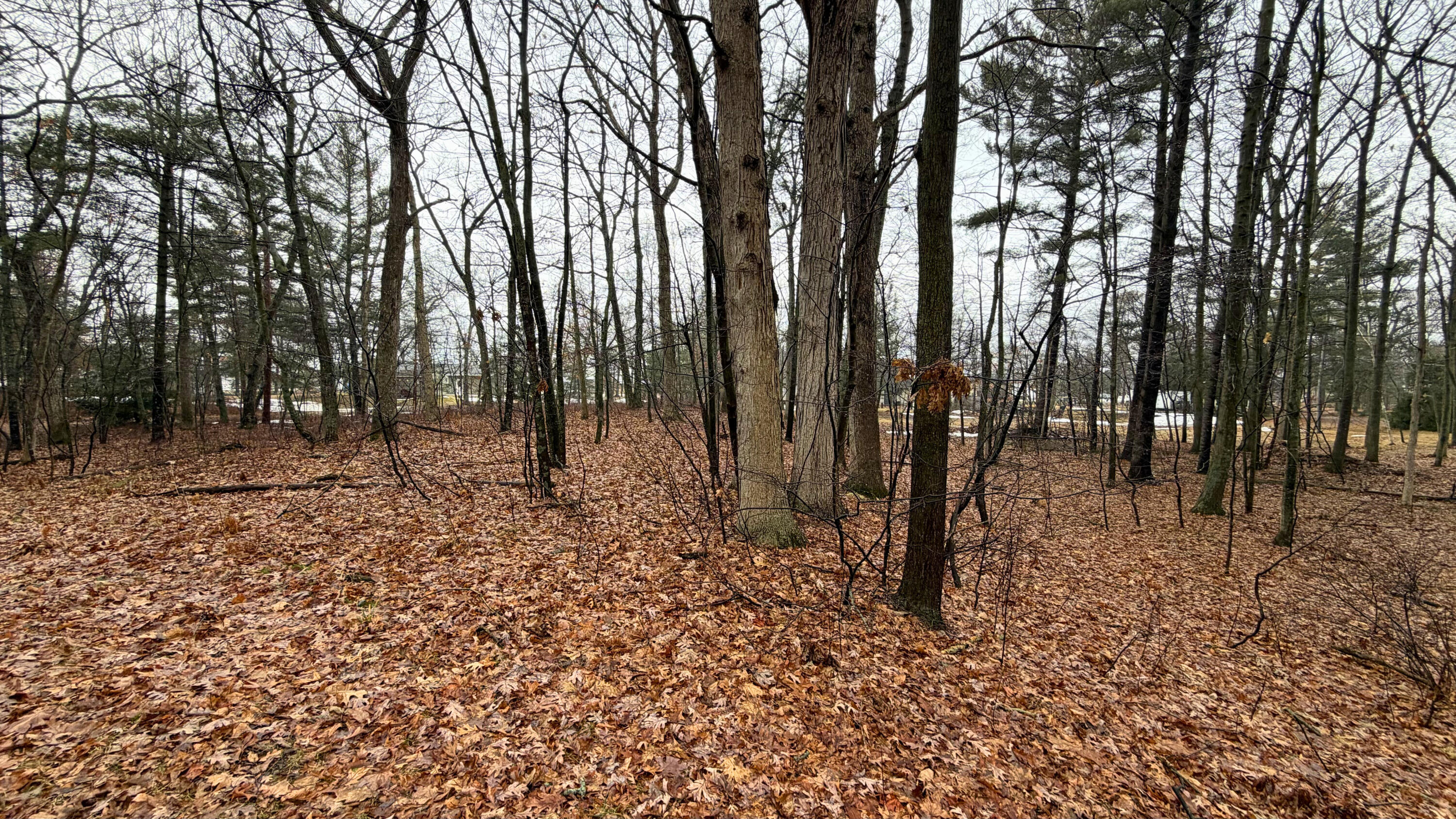 7585 Tree Top Lane Pigeon, MI 48755 - Photo 98 of 105 yard 2