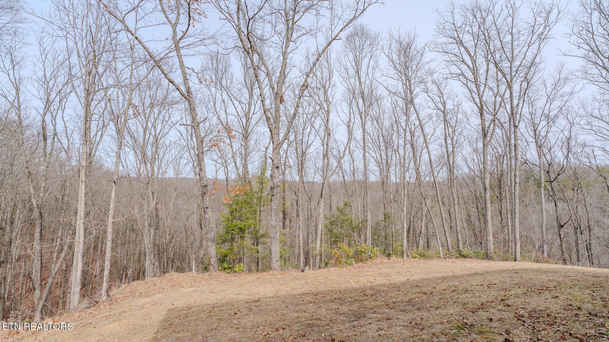 336 John J Smith Road Oneida, TN 37841 - Photo 49 of 60 a view of outdoor space with wooden fence
