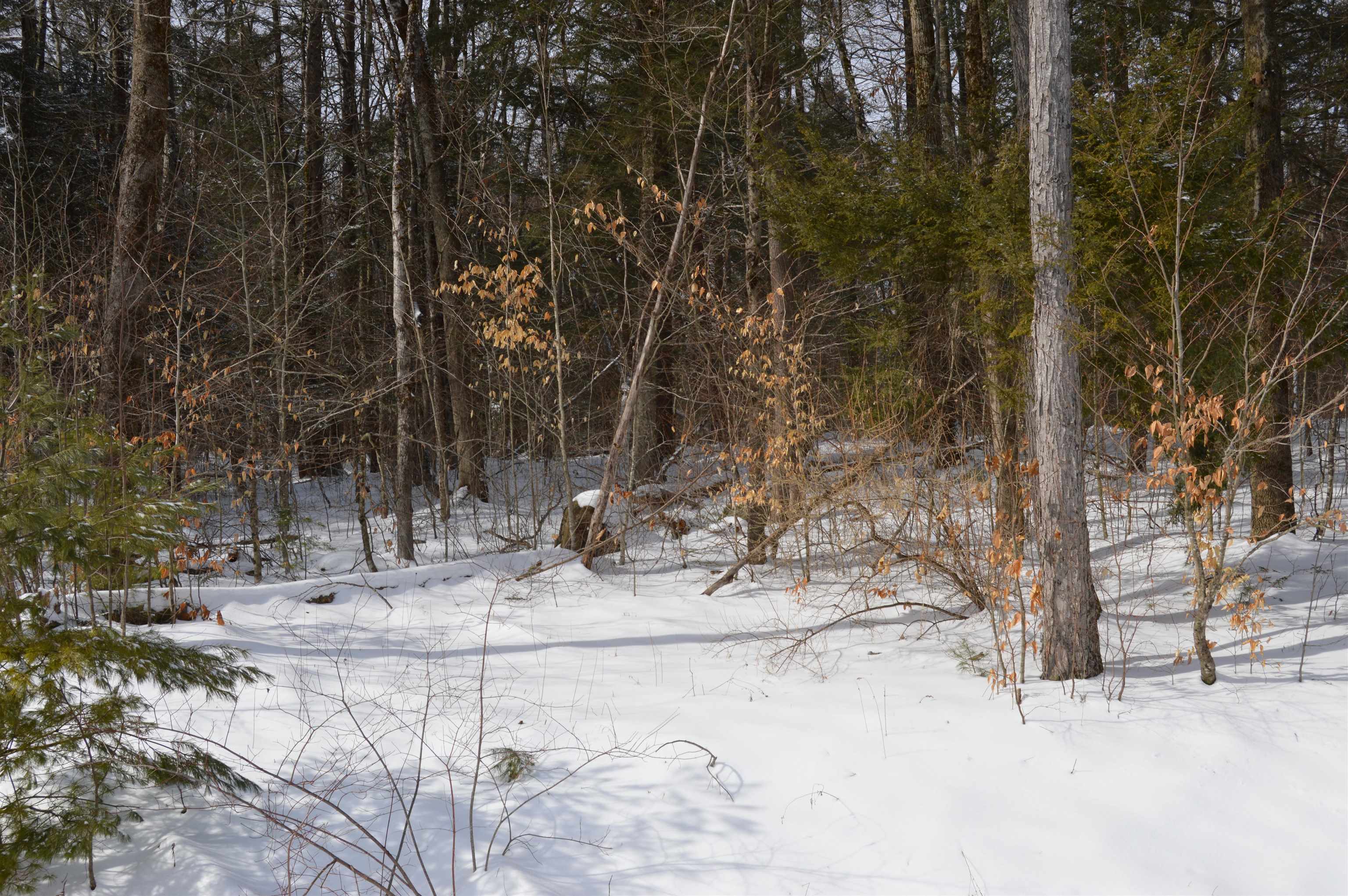 Mill Road, Unit 13 Keene, NH 03431 - Photo 2 of 4