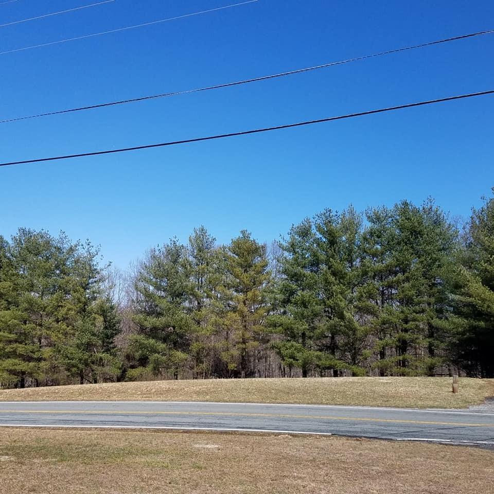 5119 Scruggs Road Moneta, VA 24121 - Photo 3 of 9 53145674_10156400318080000_9683772181430