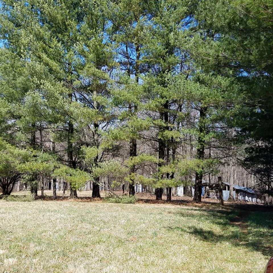 5119 Scruggs Road Moneta, VA 24121 - Photo 5 of 9 View of Property