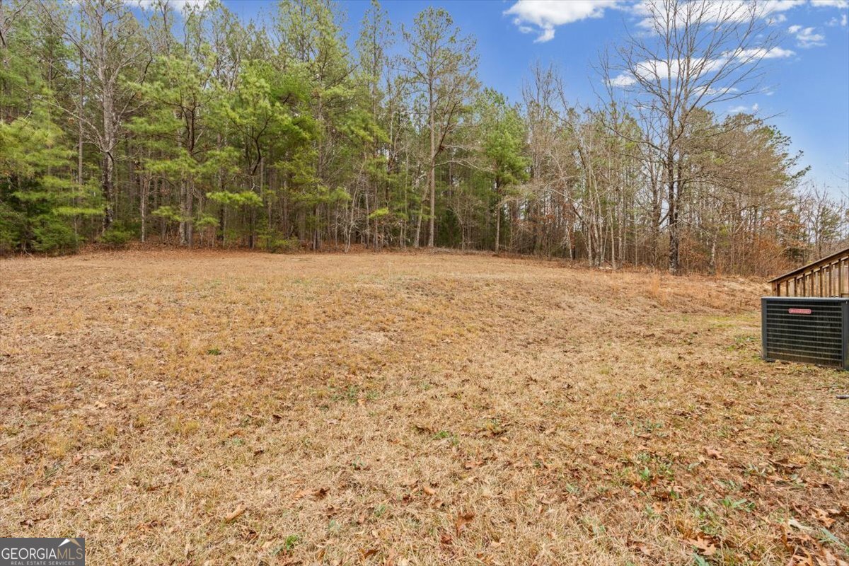 152 Campbell Road Cedartown, GA 30125 - Photo 40 of 42 a backyard of a house with lots of green space