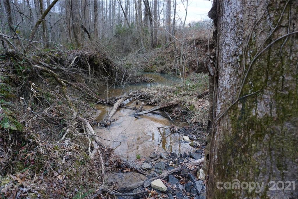 2312 Owl Hollow Road Mill Spring, NC 28756 - Photo 13 of 22 a view of a forest with trees