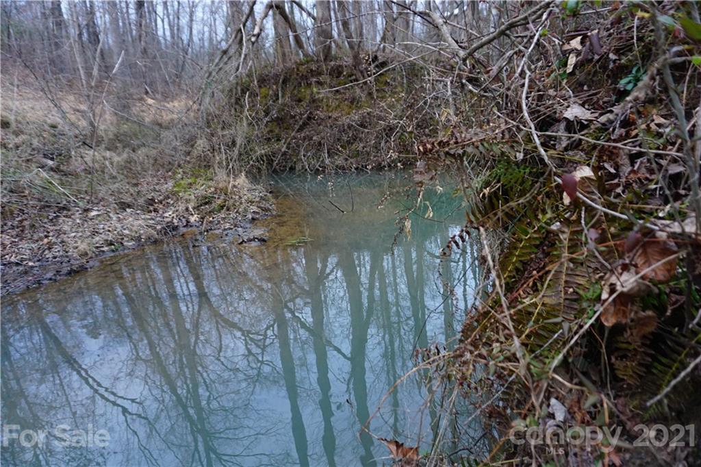2312 Owl Hollow Road Mill Spring, NC 28756 - Photo 15 of 22 a view of a lake with a tree