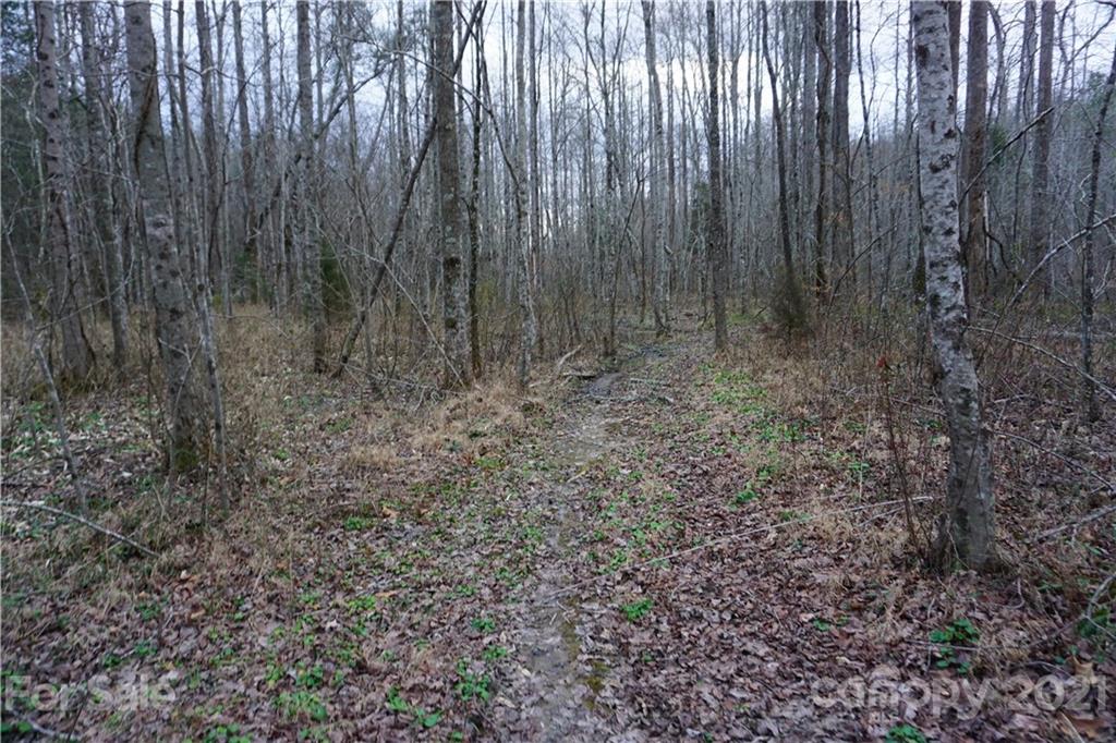 2312 Owl Hollow Road Mill Spring, NC 28756 - Photo 19 of 22 a view of small garden