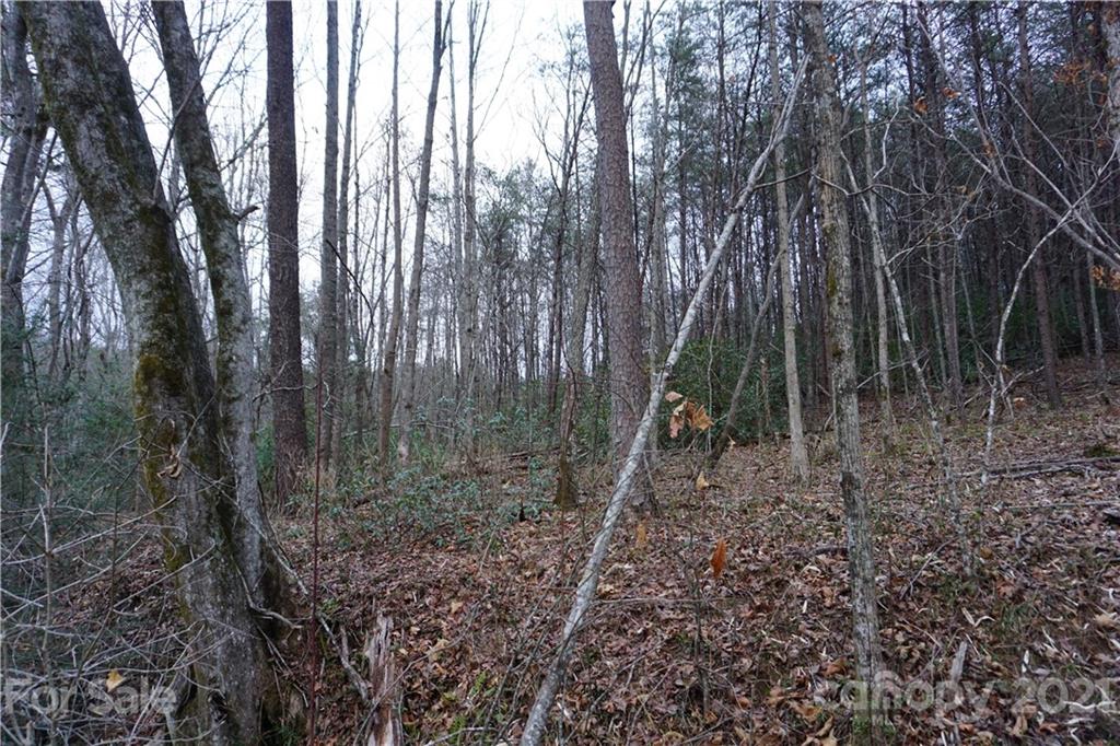 2312 Owl Hollow Road Mill Spring, NC 28756 - Photo 22 of 22 a backyard of a house with lots of green space