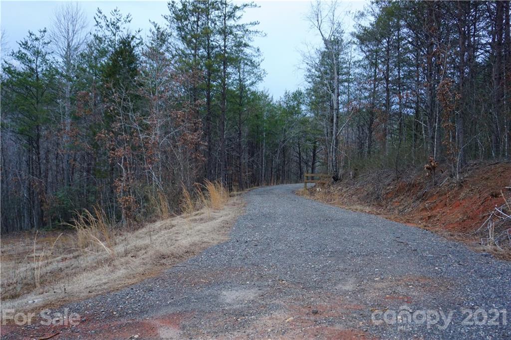 2312 Owl Hollow Road Mill Spring, NC 28756 - Photo 5 of 22 a view of a forest with trees in the background