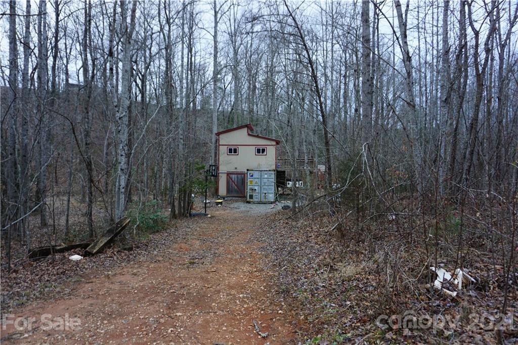 2312 Owl Hollow Road Mill Spring, NC 28756 - Photo 6 of 22 a small space in middle of the forest