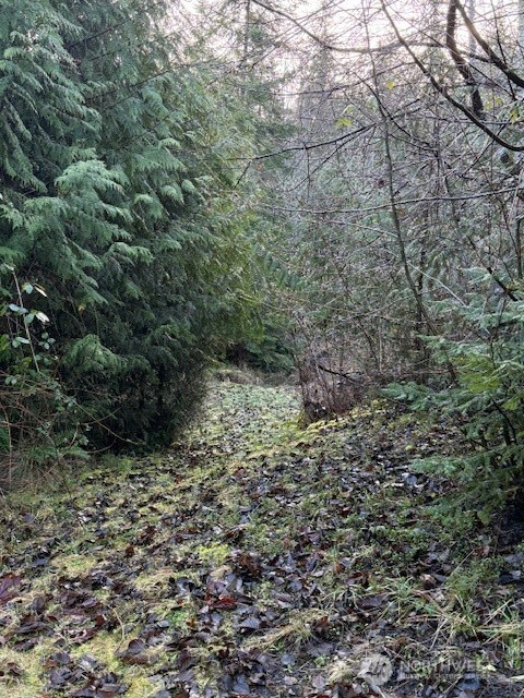 9999 Ferndale Drive Sequim, WA 98382 - Photo 11 of 28