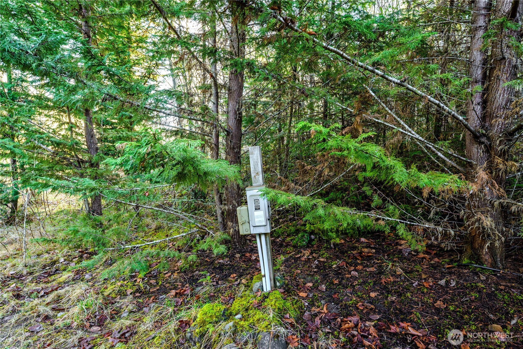 9999 Ferndale Drive Sequim, WA 98382 - Photo 22 of 28