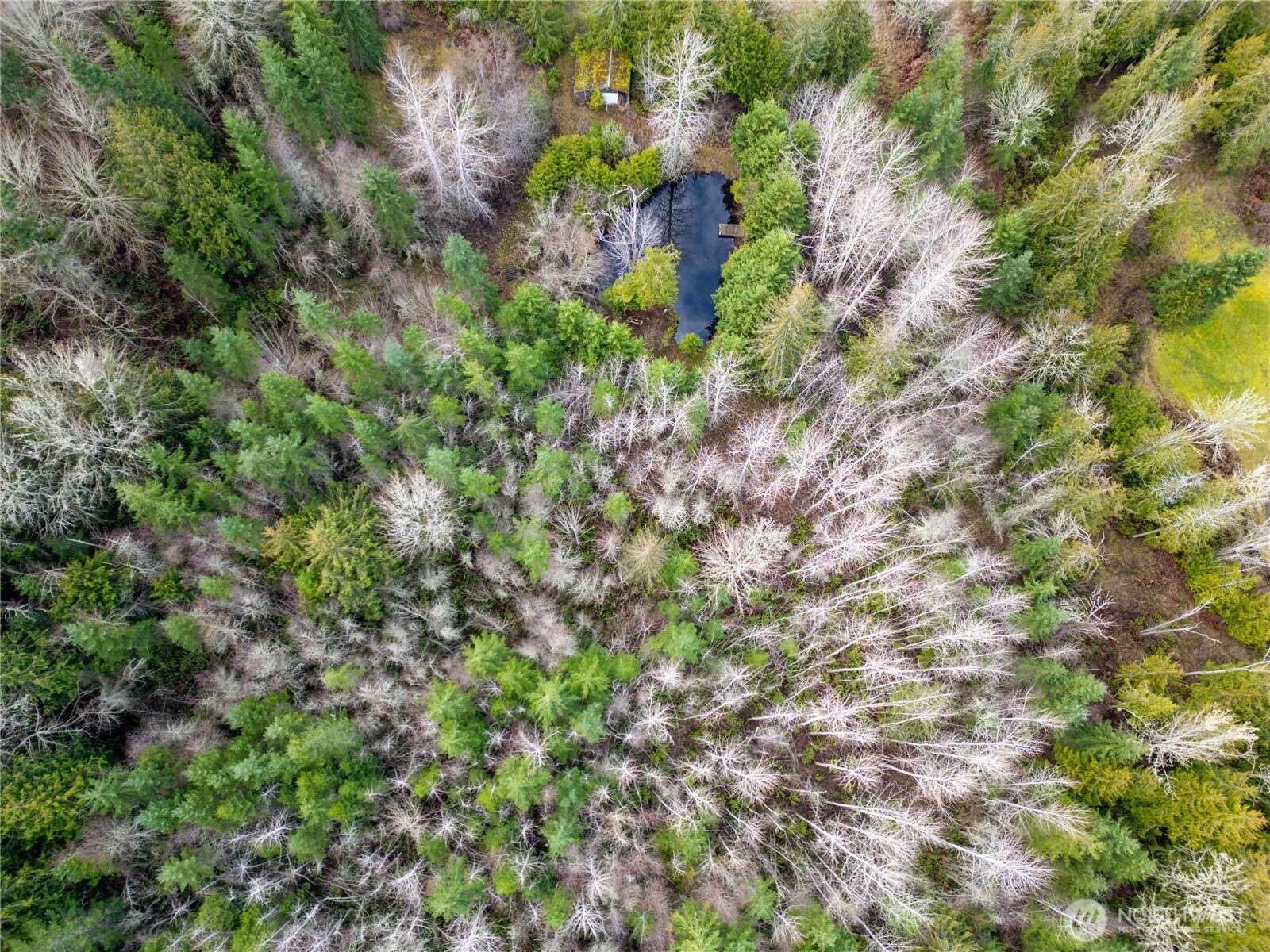 9999 Ferndale Drive Sequim, WA 98382 - Photo 26 of 28